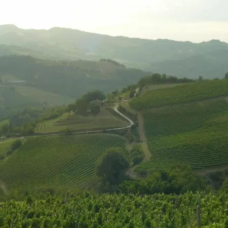 Charming Escape In Apartment Modigliana