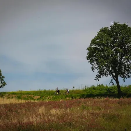 Apartment Charming Escape In