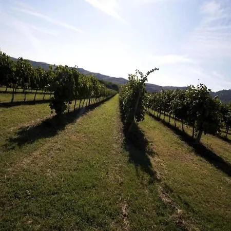 Charming Escape In Apartamento *