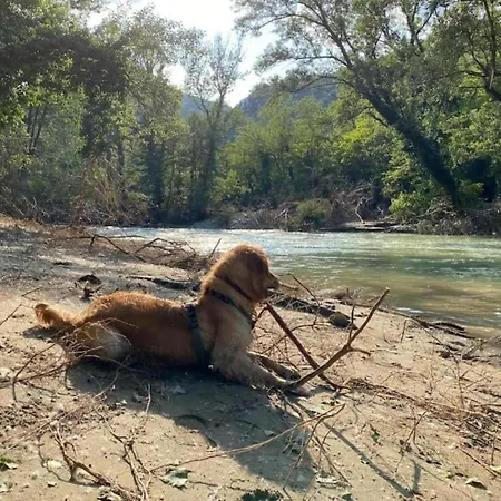 Charming Escape In *