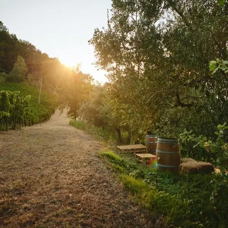 Charming Escape In Modigliana