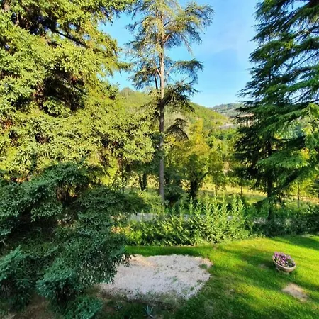 Charming Escape In Apartment