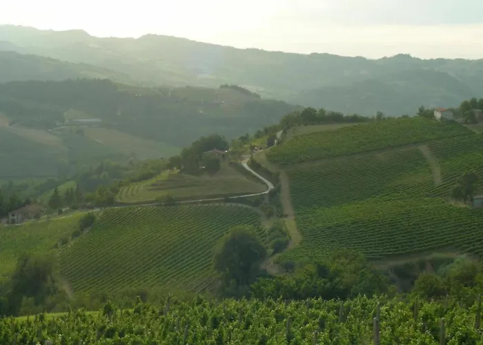 Charming Escape In Appartement Modigliana