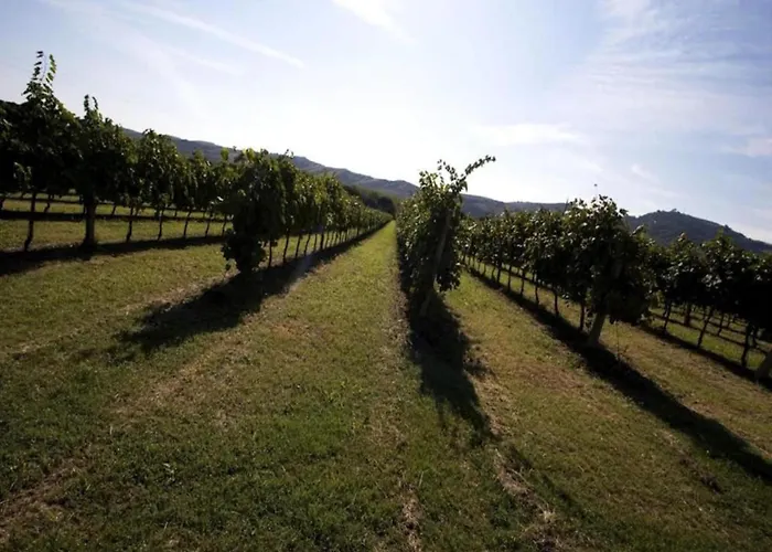 Charming Escape In Appartement *