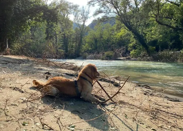 Charming Escape In *