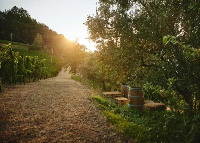 Charming Escape In Modigliana